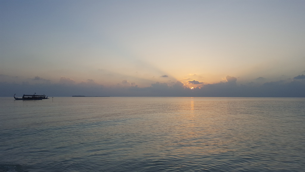 DSC01186-17.jpg