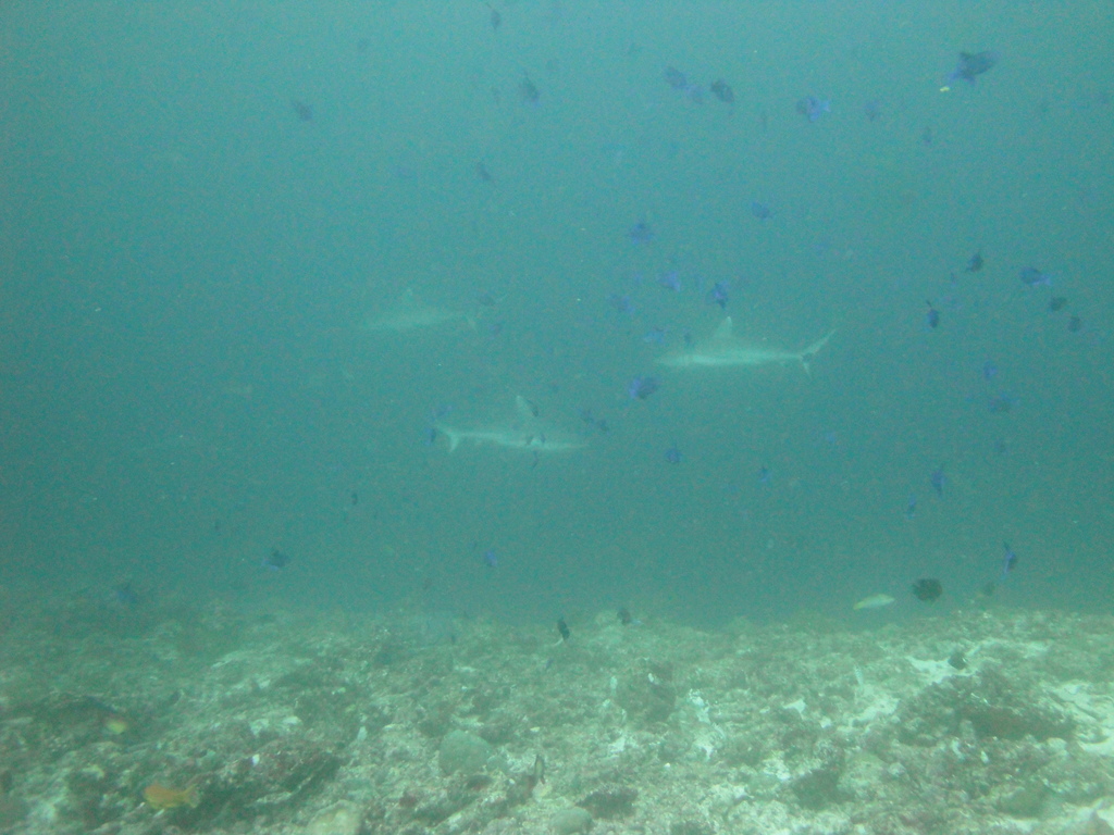 DSC01199.JPG