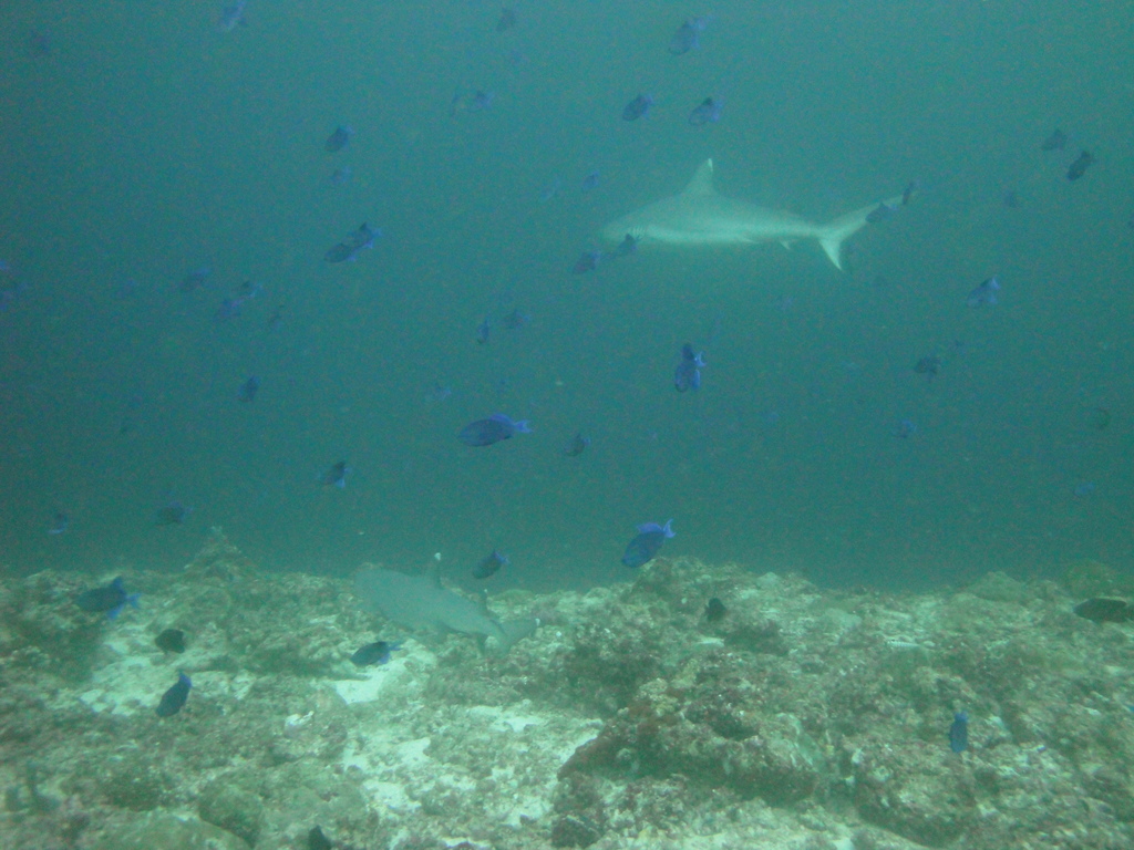 DSC01201.JPG