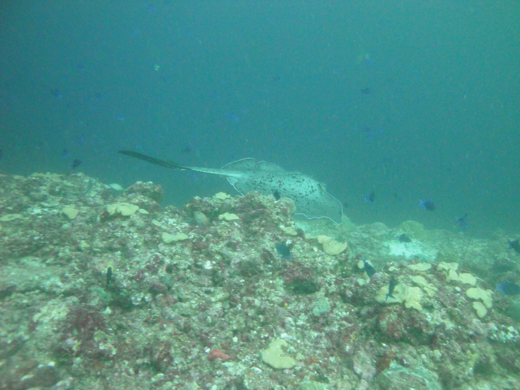 DSC01206.JPG