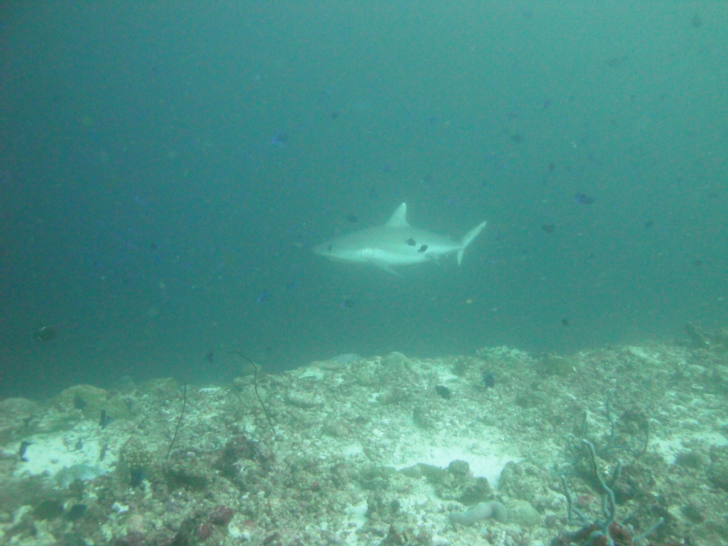 DSC01207.JPG