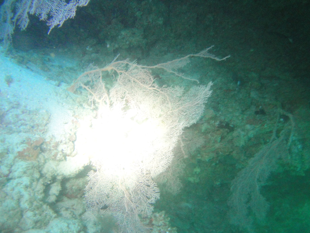 DSC01214.JPG
