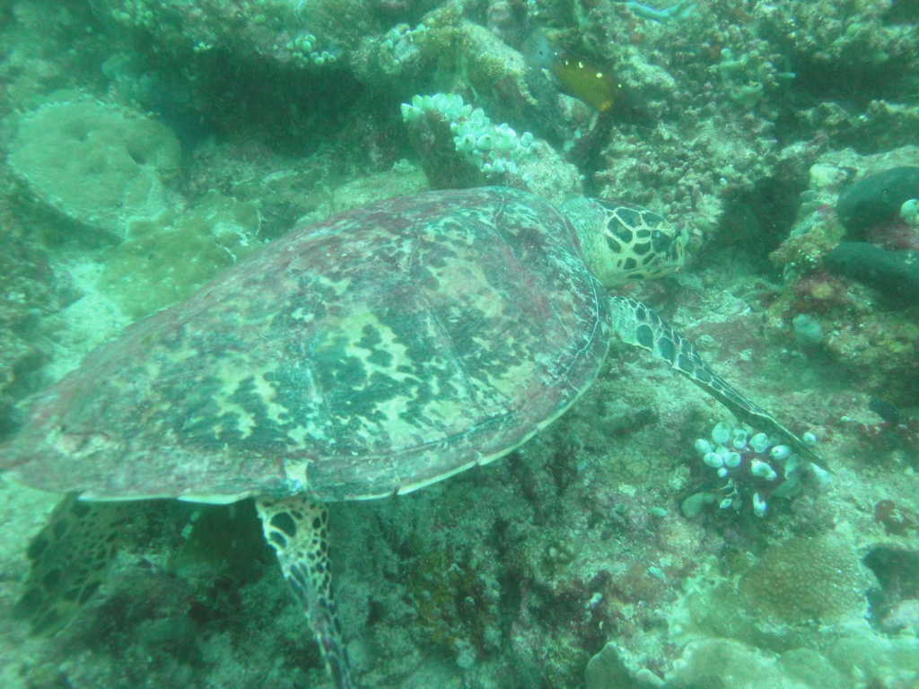 DSC01225.JPG