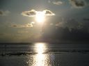 Filename=DSC00017.JPG
Filesize=302KiB
Dimensions=1024x768
Date added=Dec 27, 2016 DSC00017.JPG