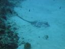 DSC00064.JPG