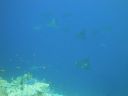 DSC00089.JPG