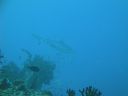 DSC00098.JPG