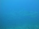DSC00105.JPG