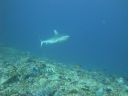 DSC00115.JPG