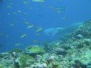 DSC00132.JPG