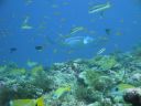 DSC00133.JPG