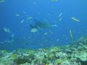 DSC00140.JPG