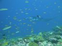 DSC00144.JPG