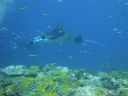 DSC00147.JPG