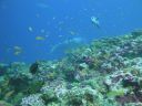 DSC00151.JPG