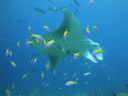 DSC00210.JPG