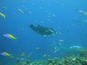 DSC00225.JPG