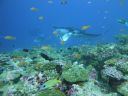 DSC00243.JPG