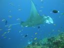 DSC00249.JPG
