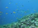 DSC00250.JPG