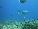 DSC00254.JPG