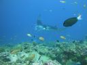 DSC00255.JPG