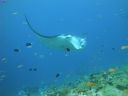 DSC00259.JPG