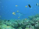 DSC00264.JPG