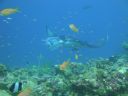 DSC00265.JPG