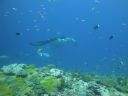 DSC00266.JPG