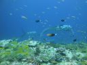 DSC00269.JPG