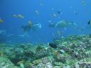 DSC00270.JPG