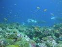 DSC00273.JPG