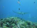 DSC00274.JPG