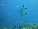 DSC00277.JPG