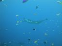 DSC00278.JPG
