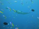 DSC00279.JPG