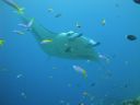 DSC00280.JPG