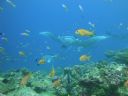 DSC00309.JPG
