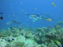 DSC00311.JPG