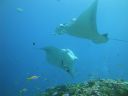 DSC00330.JPG