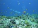 DSC00334.JPG