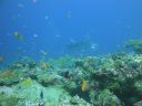 DSC00336.JPG