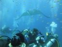 DSC00337.JPG