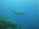 DSC00367.JPG
