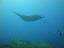 DSC00370.JPG