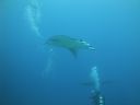 DSC00385.JPG