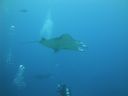 DSC00386.JPG
