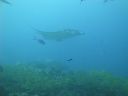DSC00387.JPG
