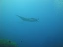 DSC00389.JPG